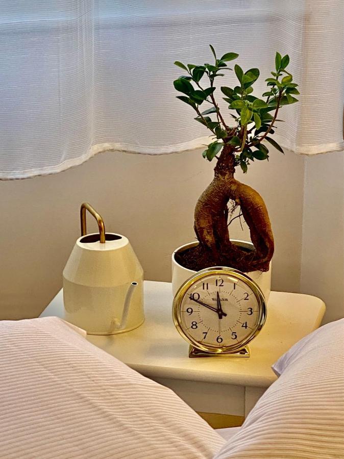 Ars Longa Apartment
